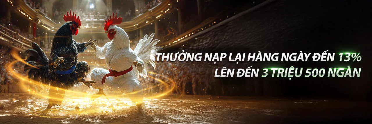 Hình ảnh chính về mẹo cá cược trực tuyến hiệu quả tại ve888 nhà cái